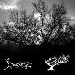 Cynd : Cynd - Deafest